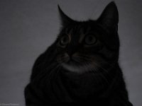 DSC 0179