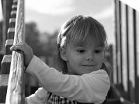 DSC 3022sw