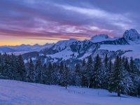 DSC 1390 Kopie  Gantrisch - Gurnigel