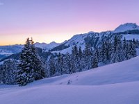 DSC 1466 Kopie 2  Gurnigel Gantrisch