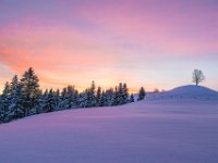 DSC 3012  Winter im Emmental