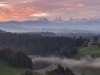 DSC 7796-