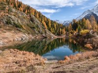 DSC 8349 1  Schwarzsee Lötschental