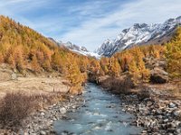 DSC 8409 1  Lötschental