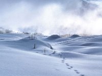 Elsigenalp