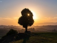 Goldenes Licht