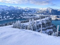 Niederhorn