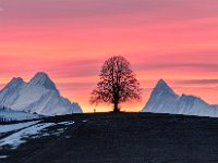 Schreckhorn Finsterarhorn