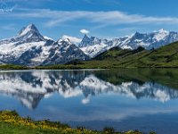 bachalpsee1  Bachalpsee